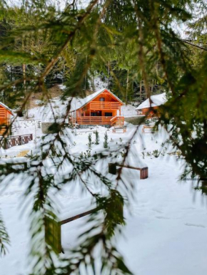 Lopušná dolina Resort Vysoké Tatry